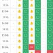 ヒメ日記 2026/01/01 23:32 投稿 りんご ごほうびSPA 大阪店