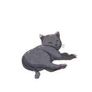 みずき 【アニマル診断】今日の運勢ランキング ギャルサー