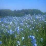 ヒメ日記 2025/10/30 10:23 投稿 みなみちゃん SA～Sanitatem Angelum～癒やしの天使