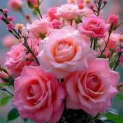 ヒメ日記 2025/11/01 16:25 投稿 みなみちゃん SA～Sanitatem Angelum～癒やしの天使