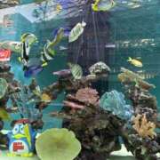 ヒメ日記 2025/11/06 18:49 投稿 みなみちゃん SA～Sanitatem Angelum～癒やしの天使