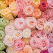 ヒメ日記 2025/11/08 19:04 投稿 みなみちゃん SA～Sanitatem Angelum～癒やしの天使