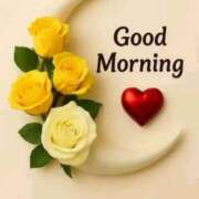 ヒメ日記 2025/11/11 06:54 投稿 みなみちゃん SA～Sanitatem Angelum～癒やしの天使