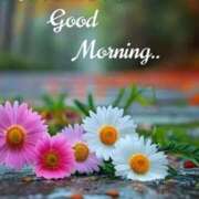 ヒメ日記 2025/11/12 10:45 投稿 みなみちゃん SA～Sanitatem Angelum～癒やしの天使