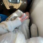 ヒメ日記 2025/04/12 08:00 投稿 じゅり 奥様はエンジェル　町田店