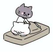 ヒメ日記 2025/07/24 22:27 投稿 小泉さん SA～Sanitatem Angelum～癒やしの天使