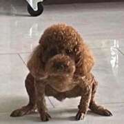 ヒメ日記 2025/05/21 00:13 投稿 れん デザインプリズム新宿