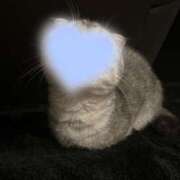 ヒメ日記 2025/06/05 23:39 投稿 れん デザインプリズム新宿