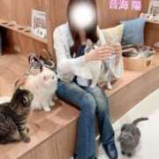 ヒメ日記 2025/07/07 09:12 投稿 音海 陽 テレジア大阪