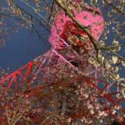 ヒメ日記 2026/04/15 18:47 投稿 ここな【伝説の女電撃移籍】 なすがママされるがママ 宇都宮