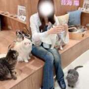 音海 陽 今日はお昼からいます🩷 テレジア京都