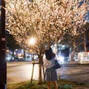 ヒメ日記 2025/04/23 23:18 投稿 ミアン ツートップ