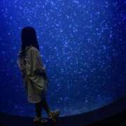 ヒメ日記 2025/06/22 03:03 投稿 ミアン ツートップ