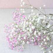 ヒメ日記 2025/04/05 23:14 投稿 佐江(さえ) 高知デリヘル倶楽部 人妻熟女専門店