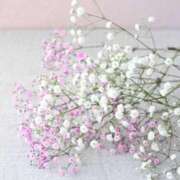 ヒメ日記 2025/04/14 12:42 投稿 佐江(さえ) 高知デリヘル倶楽部 人妻熟女専門店