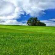 ヒメ日記 2025/04/16 14:32 投稿 佐江(さえ) 高知デリヘル倶楽部 人妻熟女専門店