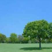 ヒメ日記 2025/04/30 07:23 投稿 佐江(さえ) 高知デリヘル倶楽部 人妻熟女専門店