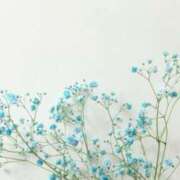 ヒメ日記 2025/04/30 07:35 投稿 佐江(さえ) 高知デリヘル倶楽部 人妻熟女専門店