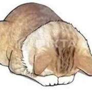 ヒメ日記 2025/05/02 16:42 投稿 佐江(さえ) 高知デリヘル倶楽部 人妻熟女専門店