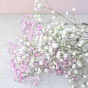 ヒメ日記 2025/05/09 20:37 投稿 佐江(さえ) 高知デリヘル倶楽部 人妻熟女専門店