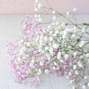 ヒメ日記 2025/05/19 14:49 投稿 佐江(さえ) 高知デリヘル倶楽部 人妻熟女専門店