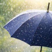 ヒメ日記 2026/02/11 13:05 投稿 野中さとみ 麗しいマダム