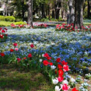 ヒメ日記 2026/03/07 08:05 投稿 野中さとみ 美魔女エステ