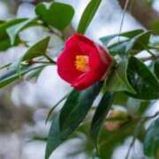 ヒメ日記 2026/04/07 16:05 投稿 野中さとみ 美魔女エステ