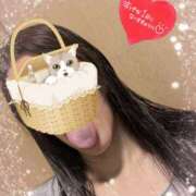 ヒメ日記 2025/09/17 14:30 投稿 ゆきこ 奥鉄オクテツ東京店（デリヘル市場）