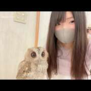 ヒメ日記 2026/03/27 14:47 投稿 サクラ ソープランドMAX‐マックス-