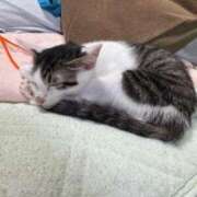 ヒメ日記 2025/08/15 08:51 投稿 あずさ 大久保・新大久保 添い寝女子