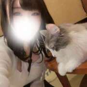 なな にゃんにゃん🐈‍⬛🎀 ホワイトハウス