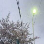 ヒメ日記 2025/04/23 09:29 投稿 あゆな スピード梅田店