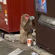 ヒメ日記 2025/07/14 18:49 投稿 あゆな スピード梅田店