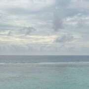 ヒメ日記 2025/08/07 17:49 投稿 あゆな スピード梅田店