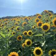 ヒメ日記 2025/09/24 12:24 投稿 あゆな スピード梅田店