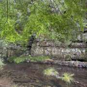 ヒメ日記 2025/10/04 12:24 投稿 あゆな スピード梅田店