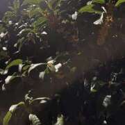 ヒメ日記 2025/11/04 13:34 投稿 あゆな スピード梅田店