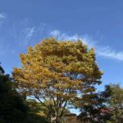 ヒメ日記 2025/11/11 13:04 投稿 あゆな スピード梅田店