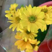 ヒメ日記 2026/01/21 12:14 投稿 あゆな スピード梅田店