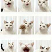 ヒメ日記 2025/11/26 18:53 投稿 ♡アマネ MEGA PALACE(メガパレス）