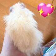 ヒメ日記 2025/06/26 16:02 投稿 ここ ピンクコレクション大阪