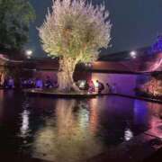 ヒメ日記 2025/09/15 11:02 投稿 ここ ピンクコレクション大阪