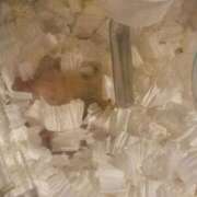 ヒメ日記 2025/11/27 11:21 投稿 ここ ピンクコレクション大阪