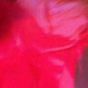 ヒメ日記 2025/12/11 12:51 投稿 ここ ピンクコレクション大阪