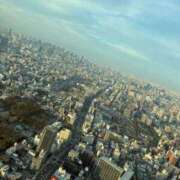 ここ ミニミュア ピンクコレクション大阪