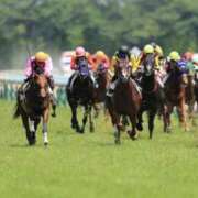 ヒメ日記 2026/03/25 16:46 投稿 ここ ピンクコレクション大阪