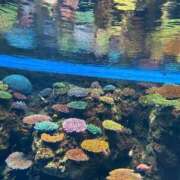 ヒメ日記 2026/04/04 23:35 投稿 ここ ピンクコレクション大阪