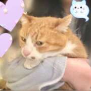 ヒメ日記 2025/02/27 21:03 投稿 ここ ピンクコレクション大阪キタ店