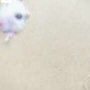 ヒメ日記 2025/03/11 18:09 投稿 ここ ピンクコレクション大阪キタ店